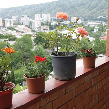 My House Is Your Hotel Tbilisi Rum bild