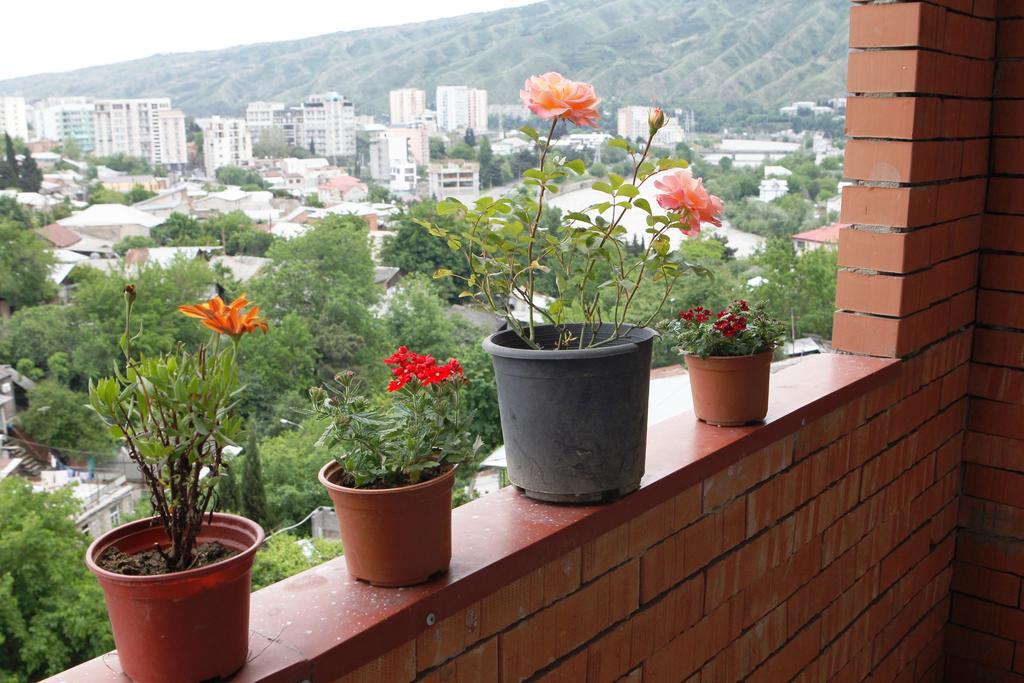 My House Is Your Hotel Tbilisi Rum bild